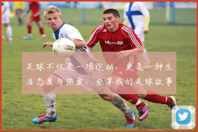 足球不仅是一项运动，更是一种生活态度与热爱，分享我的足球故事与感悟