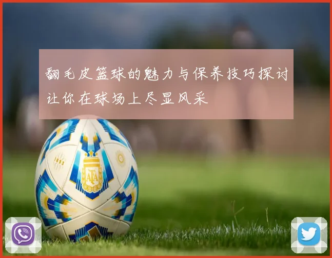 翻毛皮篮球的魅力与保养技巧探讨让你在球场上尽显风采