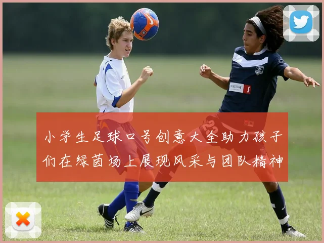 小学生足球口号创意大全助力孩子们在绿茵场上展现风采与团队精神