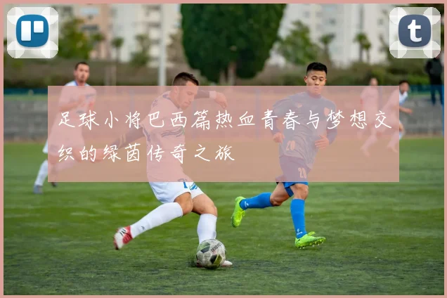 足球小将巴西篇热血青春与梦想交织的绿茵传奇之旅