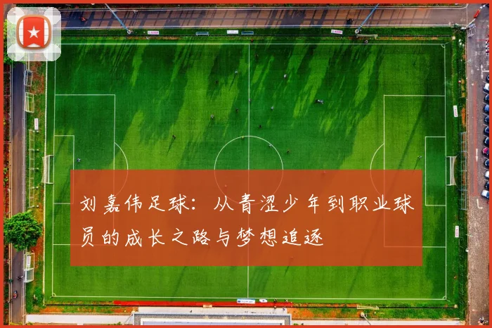 刘嘉伟足球：从青涩少年到职业球员的成长之路与梦想追逐